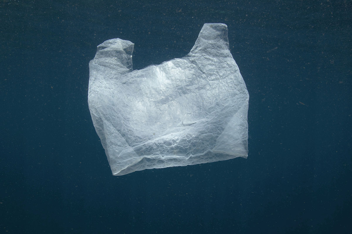 White plastic bag floats in the sea.